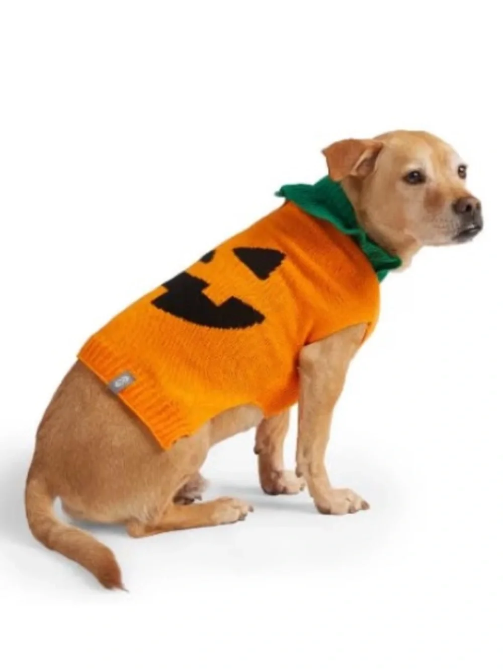 NWOT Pumpkin Jack o Lantern Knit Dog Sweater